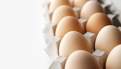 detail_egg[1].jpg